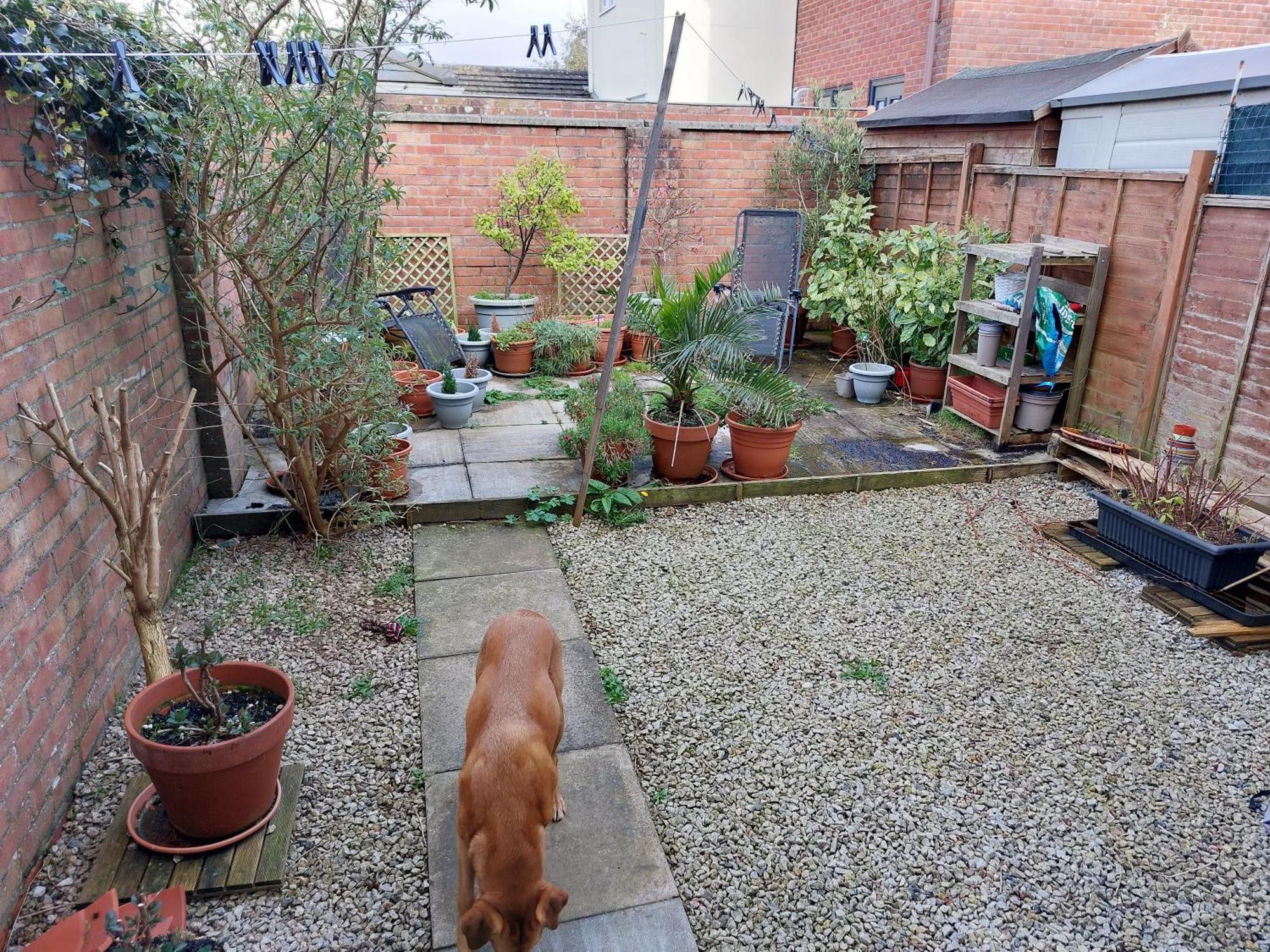 Bude Homestay Stratton  Buitenkant foto